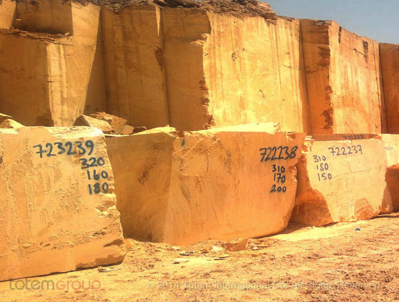 TGTR 325 - Golden Travertine